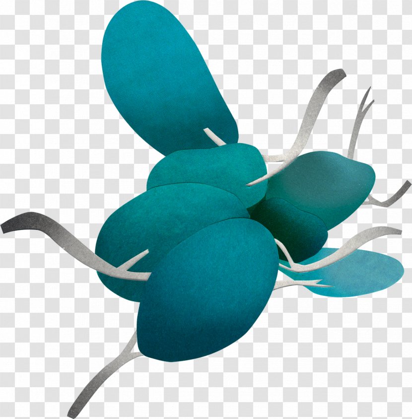 Insect Turquoise Pollinator Transparent PNG
