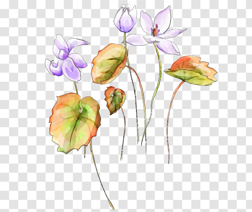 Watercolor Painting Watercolour Flowers - Petal Transparent PNG