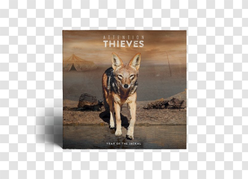 Attention Thieves The Year Of Jackal Album If You're Not With Us - Internet Radio - Digital Products Transparent PNG