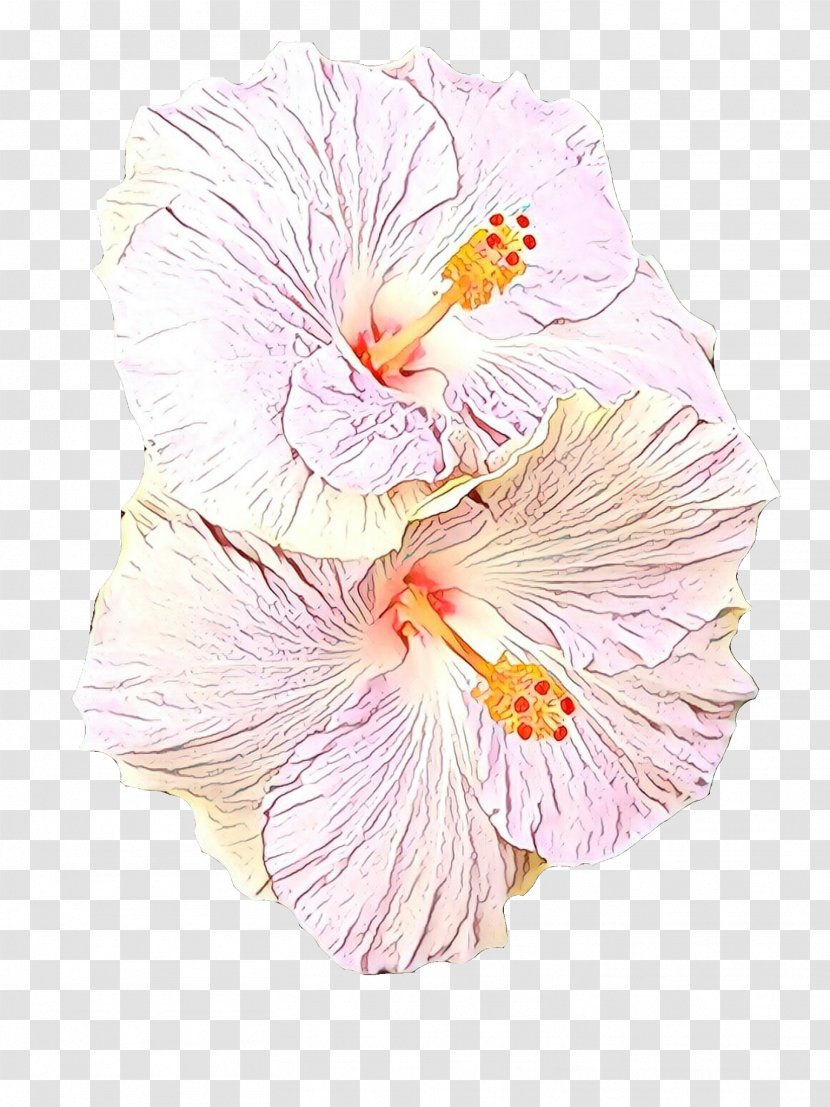 Hawaiian Hibiscus Flower Pink Chinese - Cartoon - Flowering Plant Petal Transparent PNG