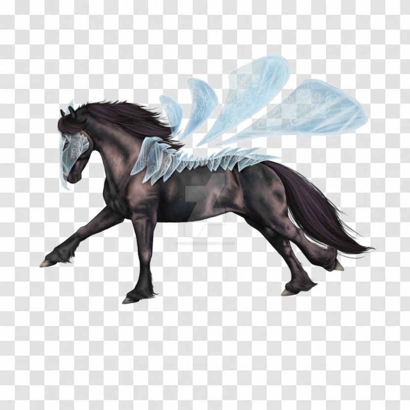 Mane Mustang Stallion Halter Pony Transparent PNG