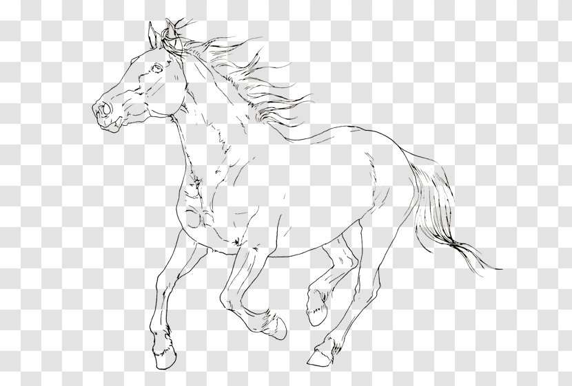 Mule Foal Bridle Mustang /m/02csf - Neck Transparent PNG