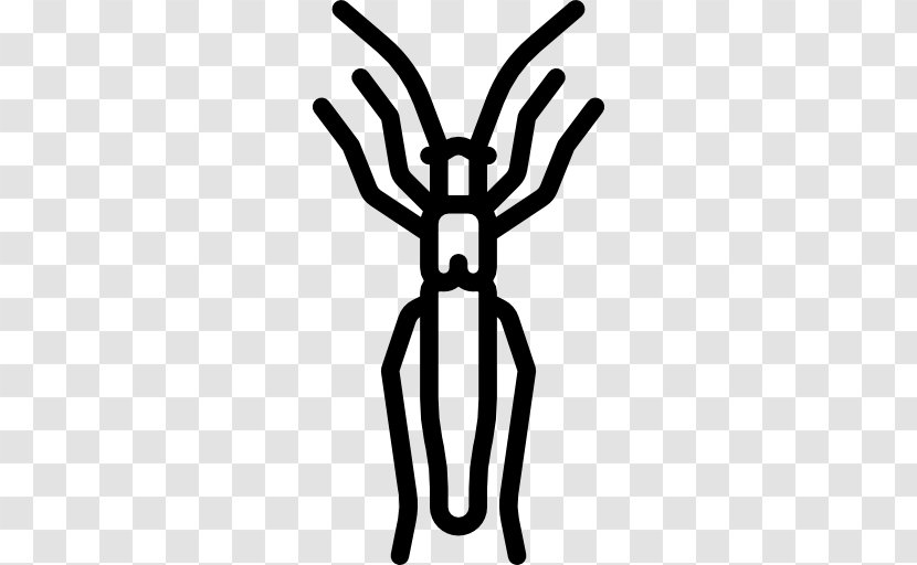 Beetle Animal Clip Art - Silhouette Transparent PNG