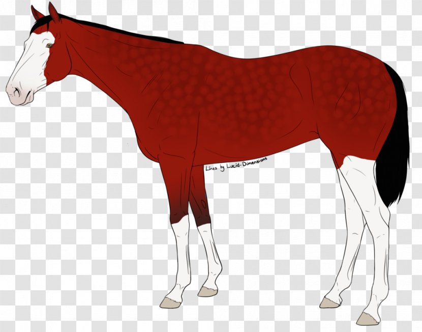 Mustang Stallion Foal Colt Mare - Livestock - Davy Jones Transparent PNG