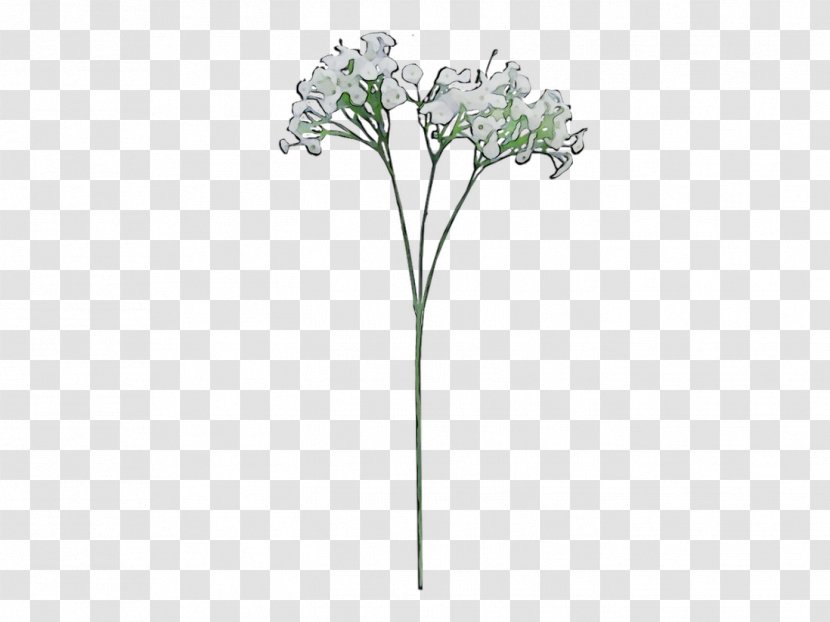 Cut Flowers Plant Stem Flowering Jewellery - Heracleum - Hydrangea Transparent PNG