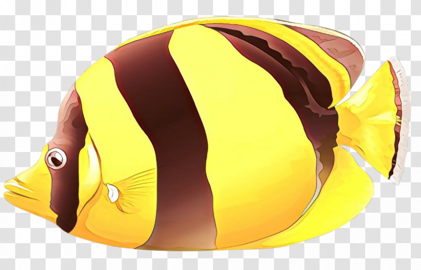 Yellow Helmet Butterflyfish Personal Protective Equipment Fish Transparent PNG
