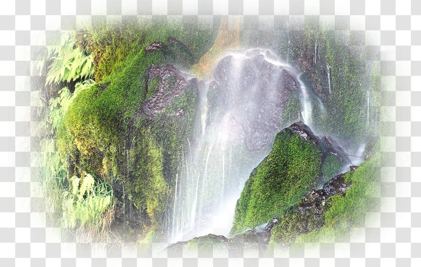 Elwha River Sol Duc Falls National Park Nature Story Olympic Forest - Watercolor Transparent PNG
