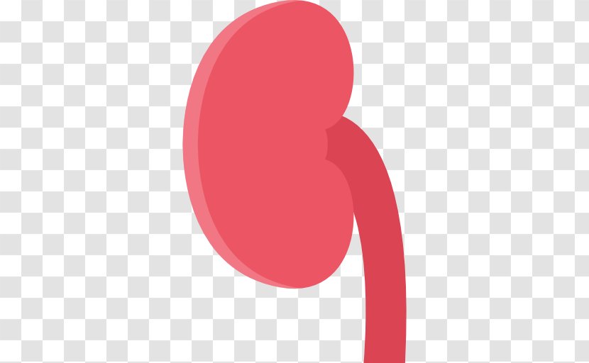 Circle Font - Red - Kidney Transparent PNG
