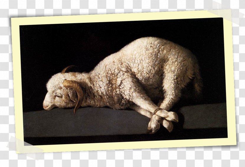 Bible Liturgy Westminster Confession Of Faith God The Lamb - Christianity - Imagem Youtube Transparent PNG