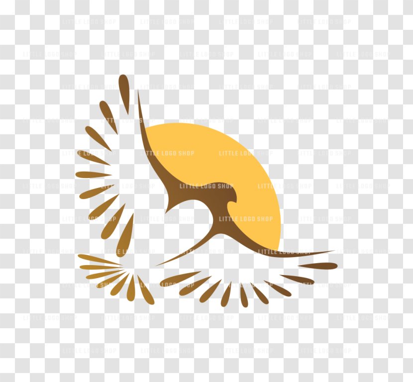 Bald Eagle Clip Art Bird Beak - Of Prey Transparent PNG