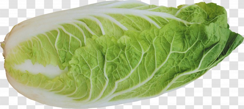 Lettuce Salad Vegetable - Romaine - Image Transparent PNG