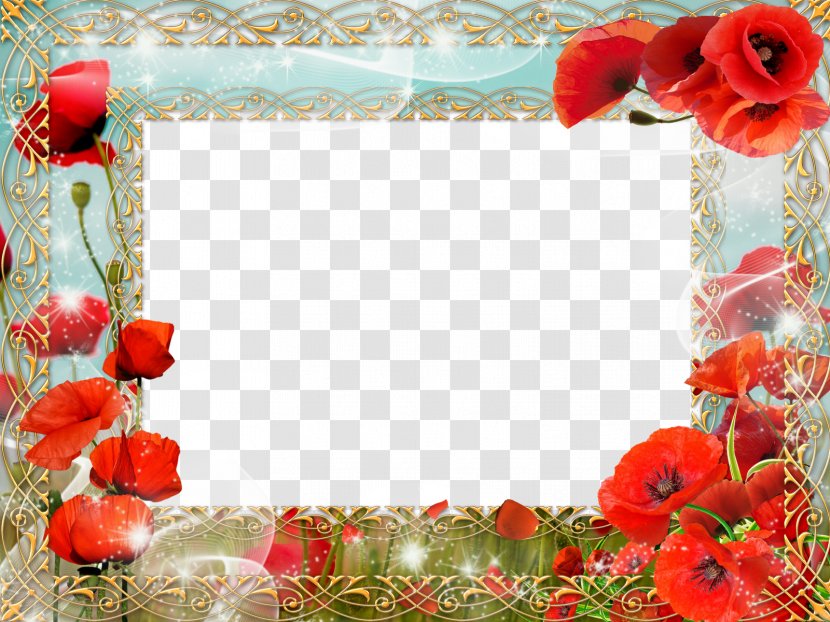 Flower Picture Frames - Floristry - Frame Transparent PNG