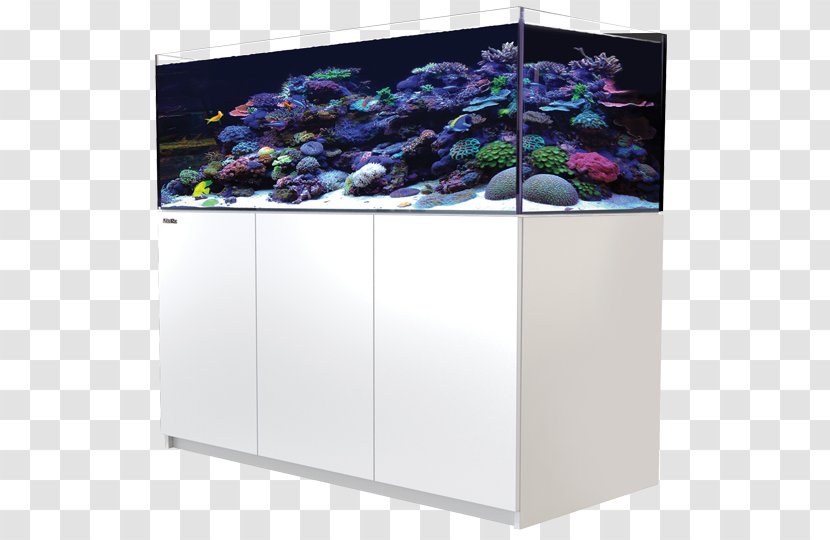 Red Sea Reefer XL 525 425 Aquariums Reef Aquarium 350 - Seawater Transparent PNG