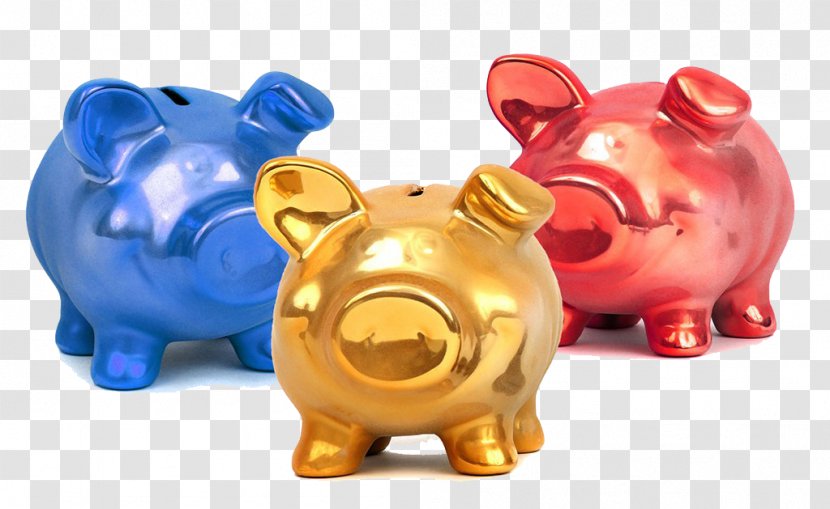 Piggy Bank Saving Money Domestic Pig - Personal Finance - Color Transparent PNG