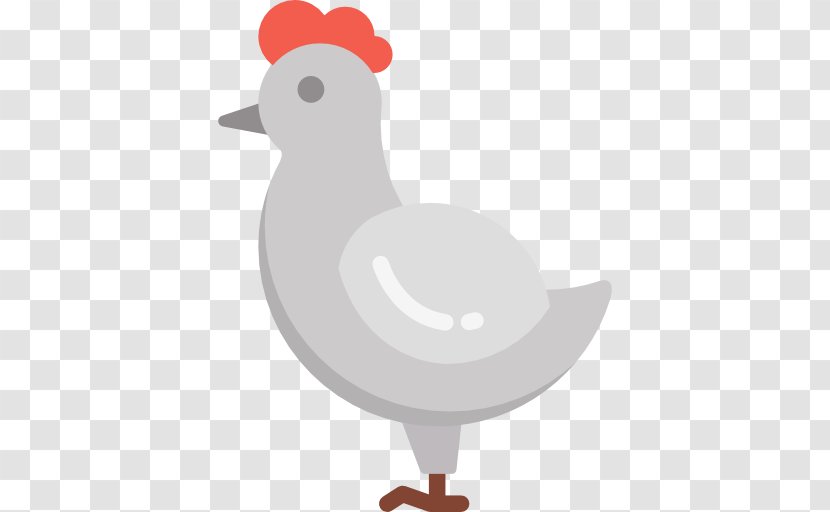 Hen - Livestock - Fowl Transparent PNG