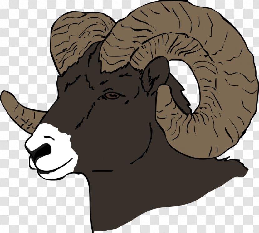 Sheep Cattle Goat Horse Horn - Bighorn Transparent PNG