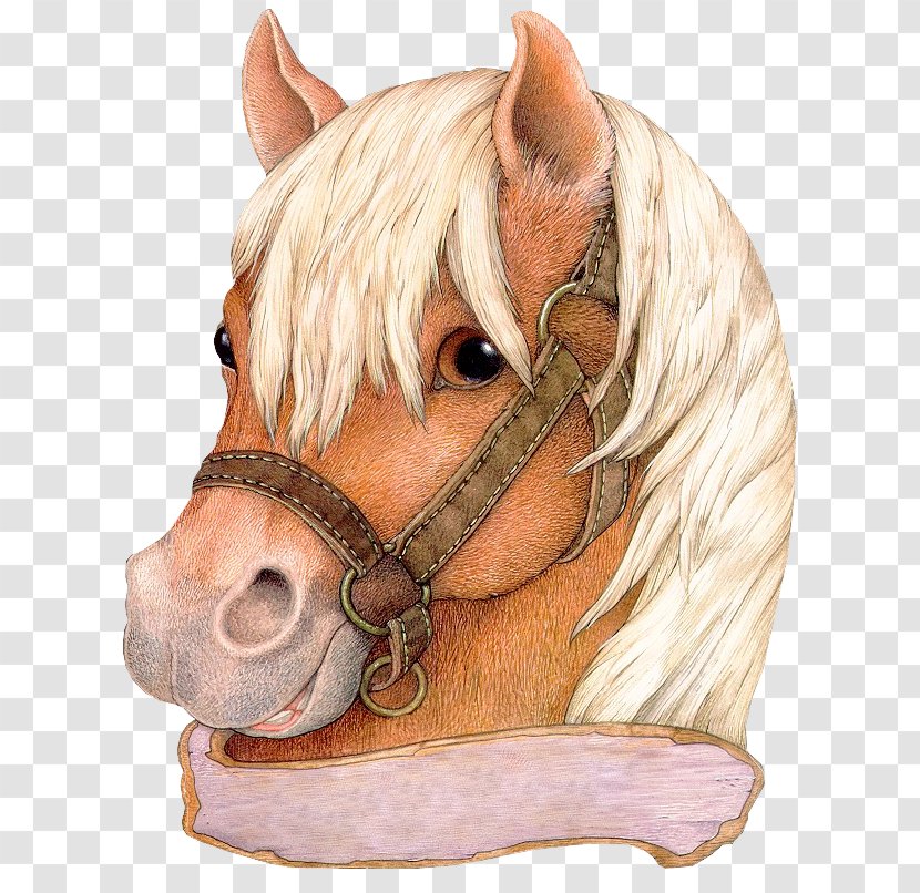 Fritz And The Beautiful Horses Hat Gingerbread Baby Mitten - Snout - Horse Transparent PNG