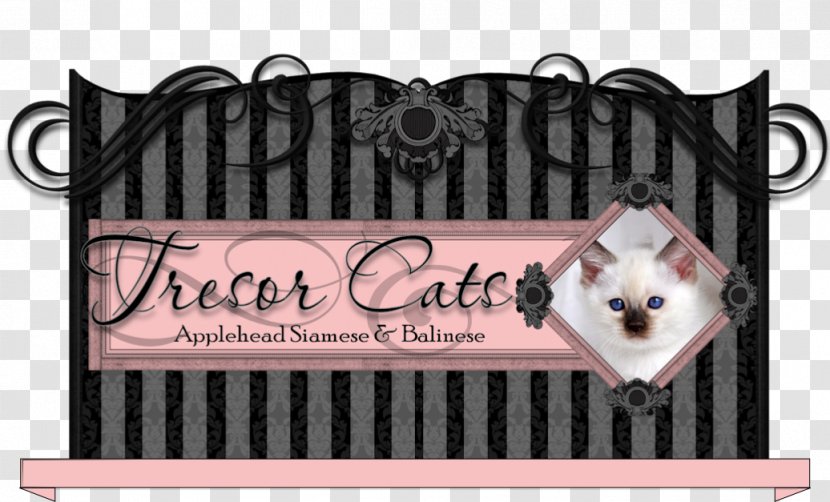 Siamese Cat Balinese Thai Javanese Birman - Kitten Transparent PNG