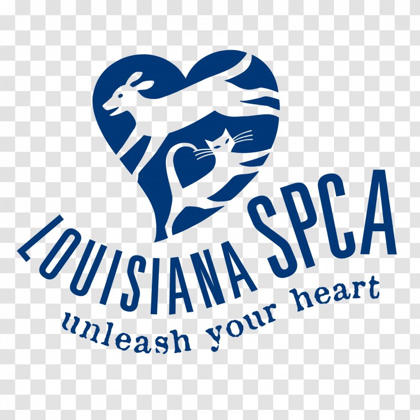 Louisiana SPCA Cat Dog Society For The Prevention Of Cruelty To Animals Critter Cinema (Overnight) - Tree Transparent PNG