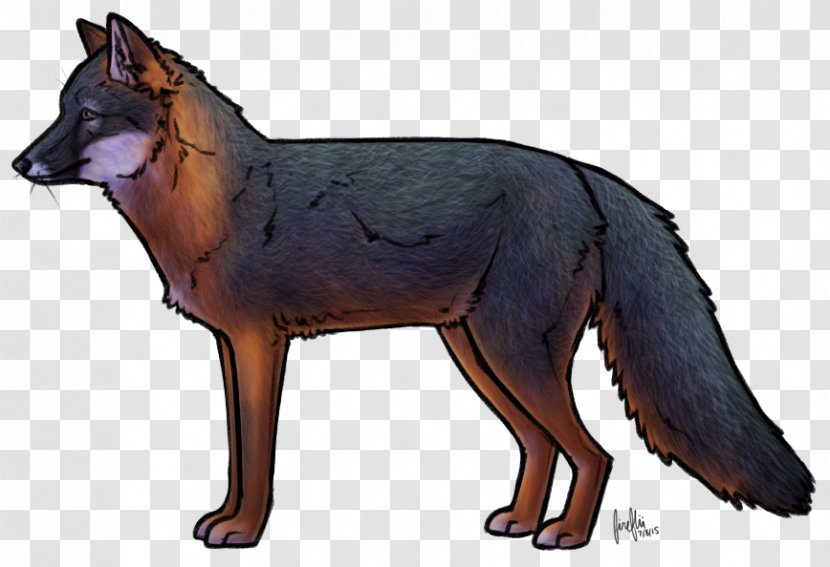 Art Film Drawing Fox - Cartoon Transparent PNG