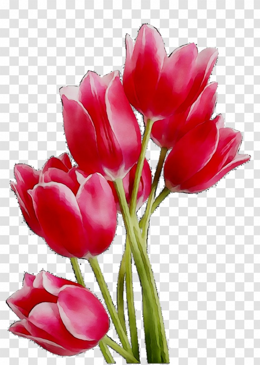 Clip Art Tulip Image Desktop Wallpaper - Cut Flowers Transparent PNG
