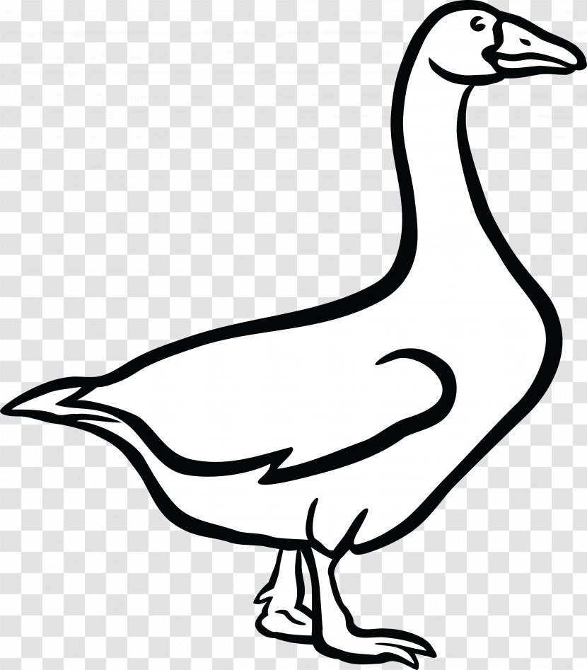 Canada Goose Duck Clip Art - Bird Transparent PNG
