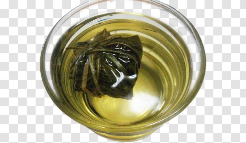 Green Tea Bag - Drinking - Bags Transparent PNG