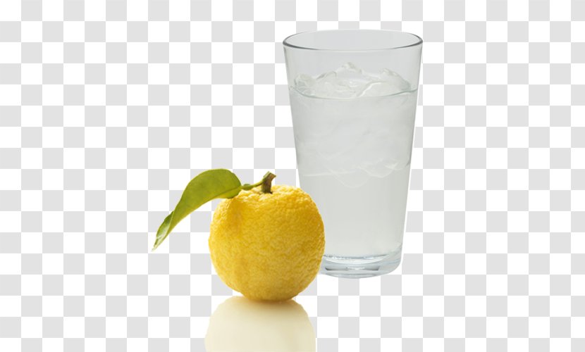Lemon Juice Limeade Fermentation Starter Vodka Tonic Lemonade - Gin And - Silk Road Transparent PNG
