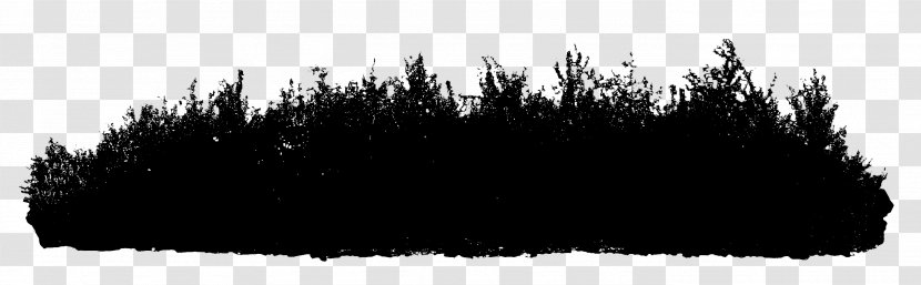 Black & White - M Tree Fur Transparent PNG