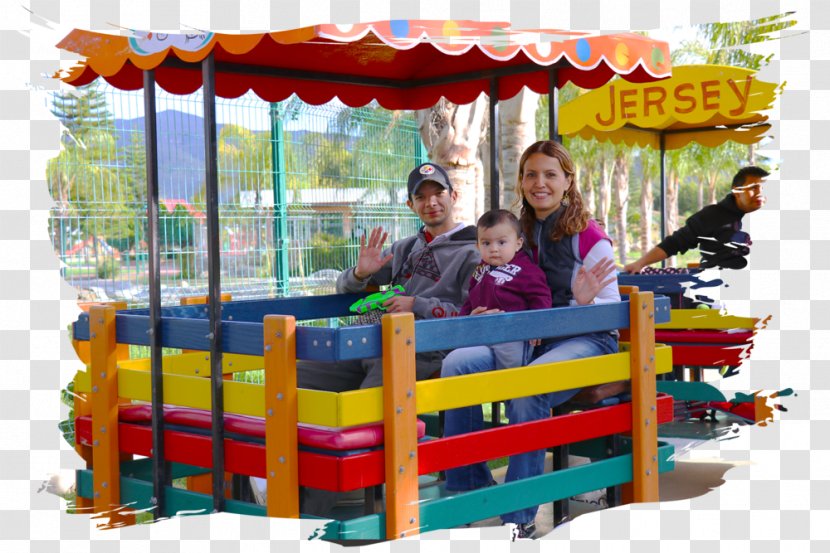 Jersey Children's Zoo Carousel Playground Park Guadalupe - Leisure Transparent PNG