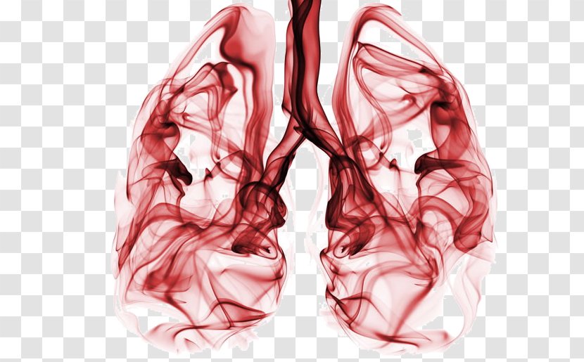Non-small Cell Lung Cancer Small-cell Carcinoma - Flower - Health Transparent PNG