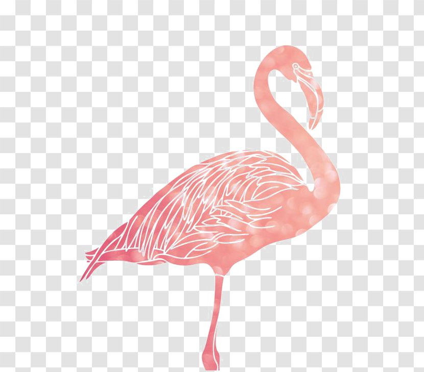 Flamingo 1080p Wallpaper - Pixel - Flamingos Transparent PNG