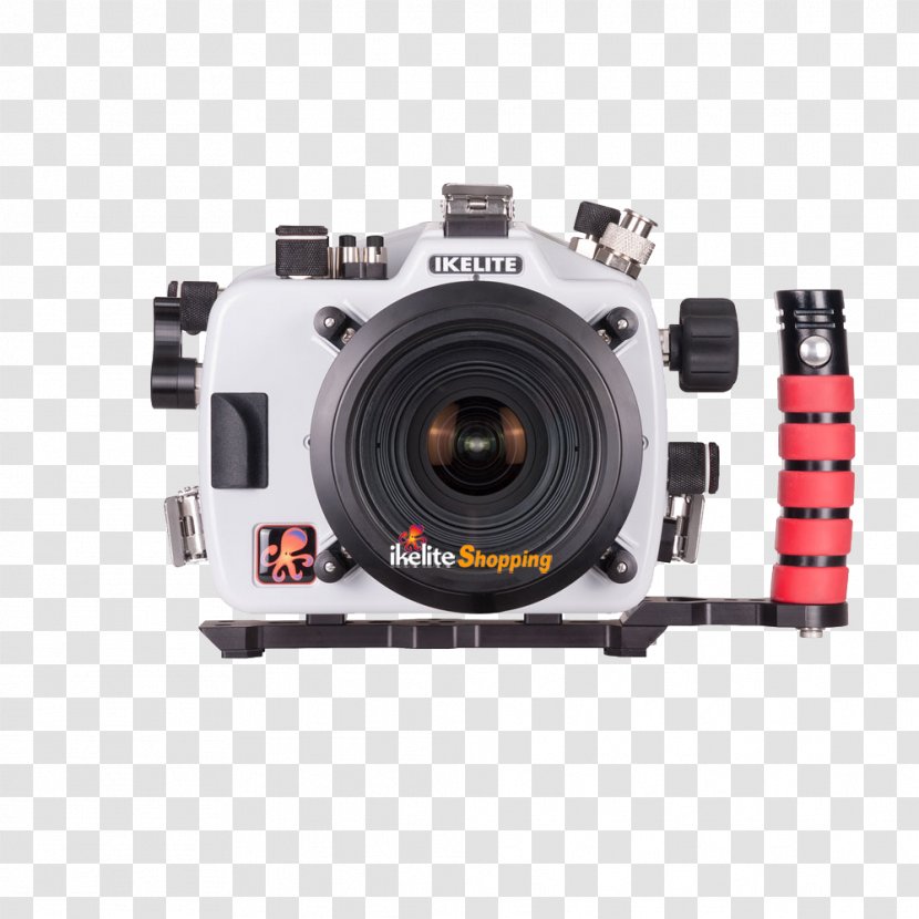 Canon EOS 5D Mark III Panasonic Lumix DC-GH5 IV 5DS - Digital Slr - Camera Transparent PNG