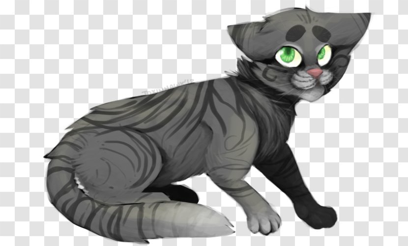 Korat Whiskers Kitten Domestic Short-haired Cat Tail - Fictional Character Transparent PNG