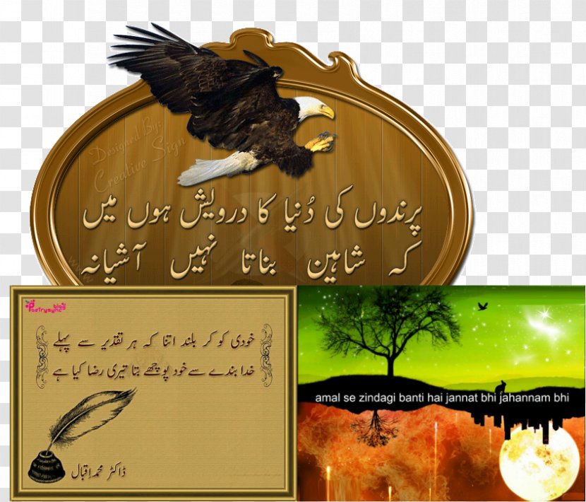 Shikwa And Jawab-e-Shikwa Urdu Poetry Pakistan - Iqbal Day - Insha Allah Transparent PNG