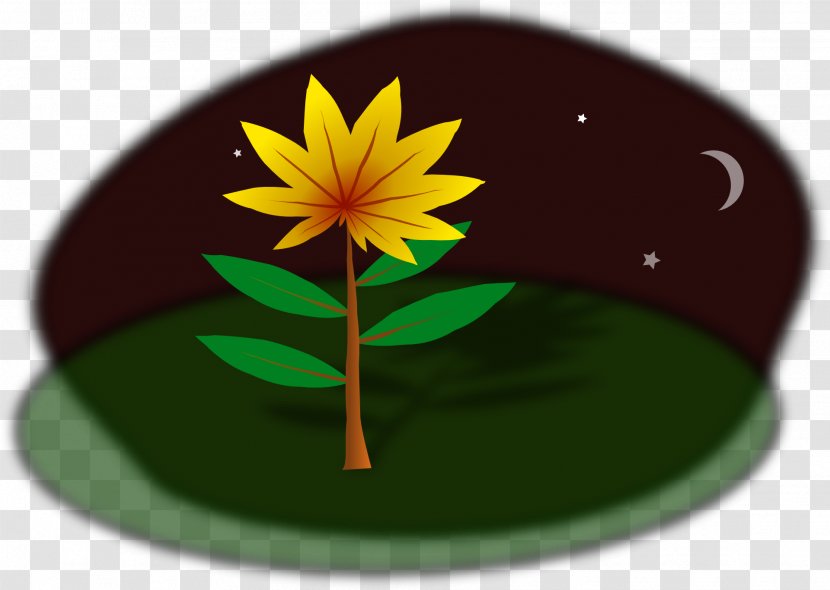 Drawing Download Clip Art - Leaf - Flora Transparent PNG