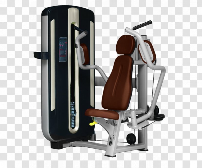 Exercise Machine Fitness Centre Physical Sales Bench Press - Price Transparent PNG