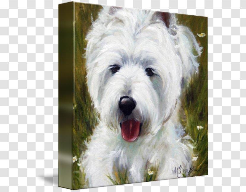 West Highland White Terrier Glen Cairn Dandie Dinmont Soft-coated Wheaten - Snout - Puppy Transparent PNG