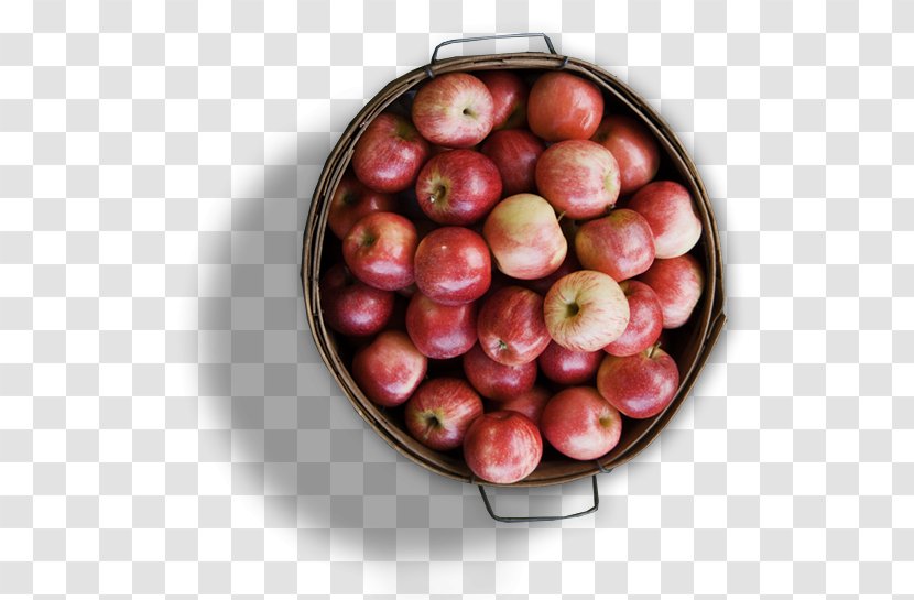 Apple The Cider Farm Brandy Food - Organic Transparent PNG