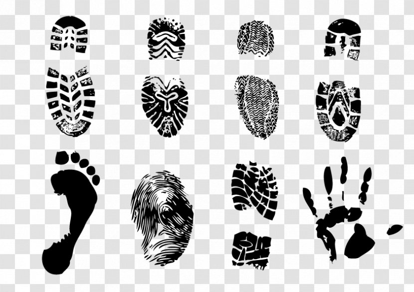 Footprint Euclidean Vector - Black And White - Footprints Transparent PNG