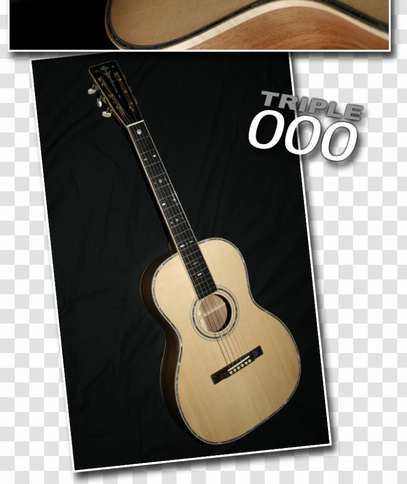 Acoustic Guitar Tiple Acoustic-electric Cavaquinho - Watercolor Transparent PNG
