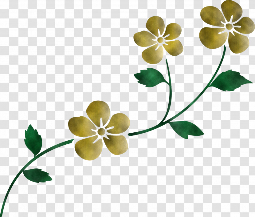 Flower Frame Decoration Frame Transparent PNG