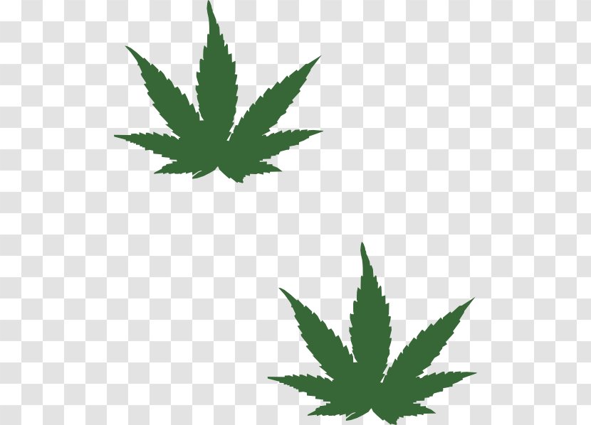 Hash, Marihuana & Hemp Museum Cannabis Leaf Clip Art - Drawing - Marijuana Transparent PNG