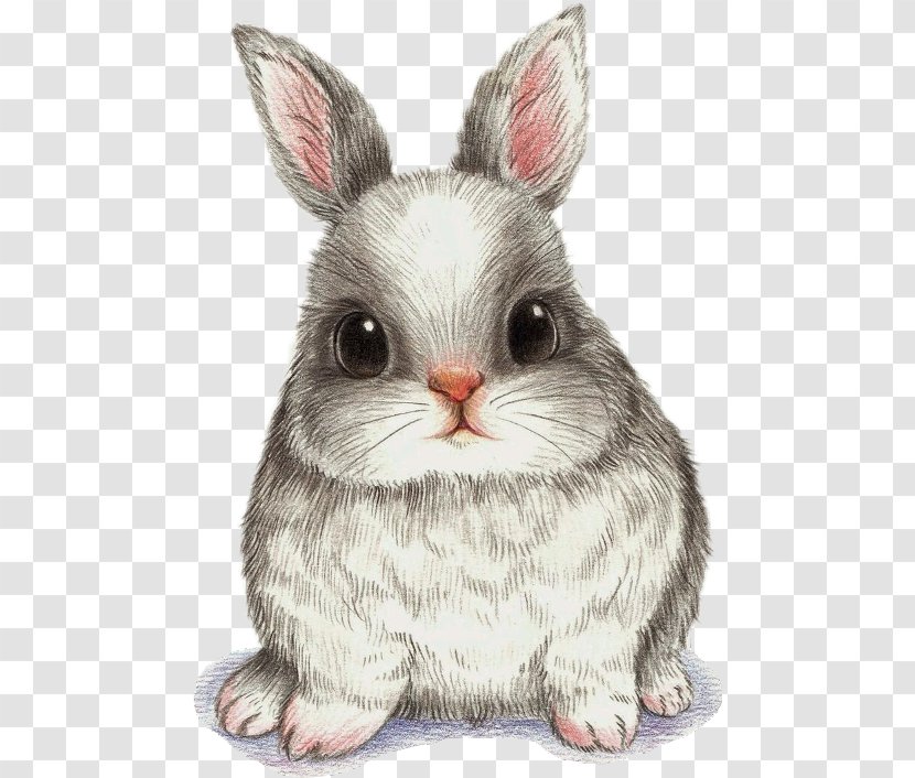 Drawing Watercolor Painting Art Image - Domestic Rabbit - Cute Bunny Sketch Transparent PNG