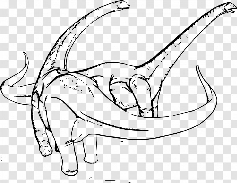 Alamosaurus Dinosaur Drawing Coloring Book - Mammal Transparent PNG