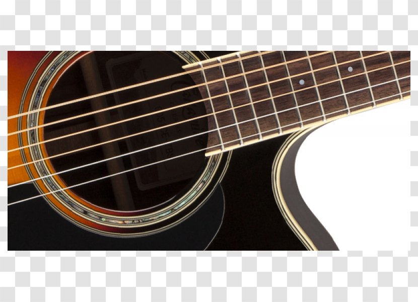 Bass Guitar Acoustic Acoustic-electric Takamine Guitars - Watercolor Transparent PNG