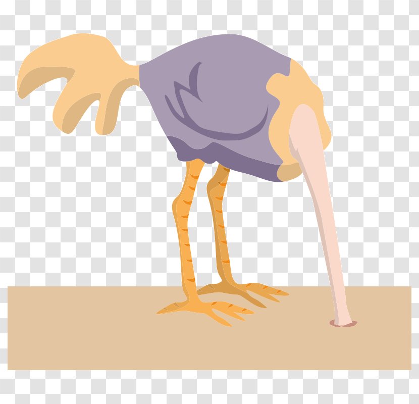 Common Ostrich Bird Sand - Water Transparent PNG