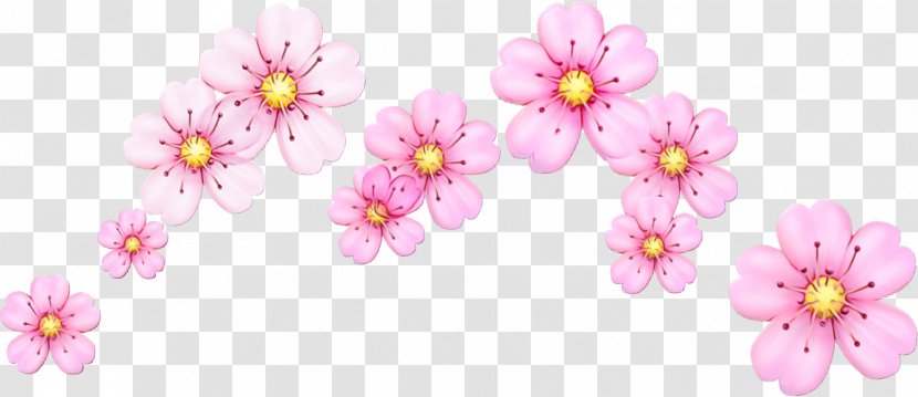 Cherry Blossom Cartoon - Pink M - Wildflower Spring Transparent PNG