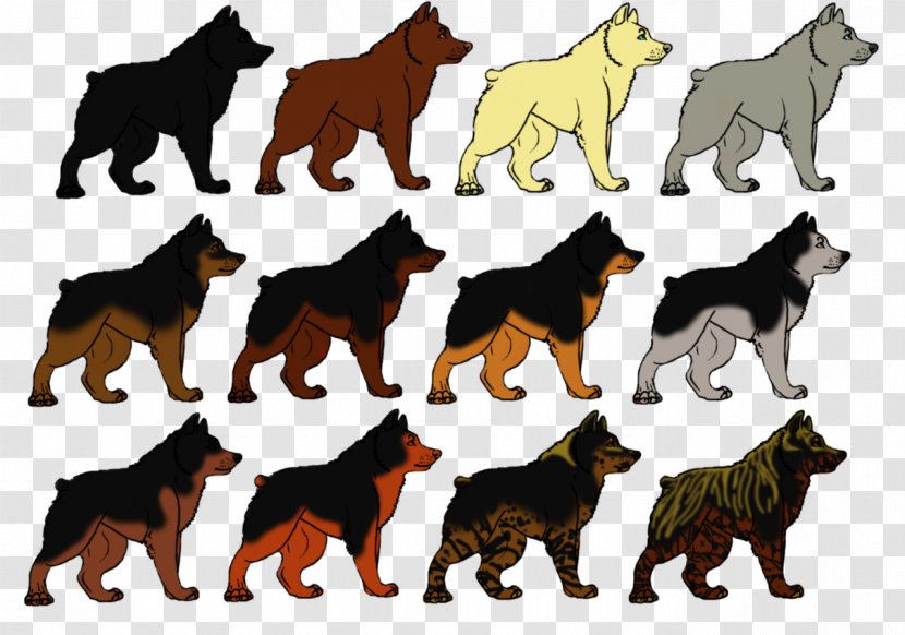 Dog Breed Black Norwegian Elkhound Red - Finnish - Rare Transparent PNG