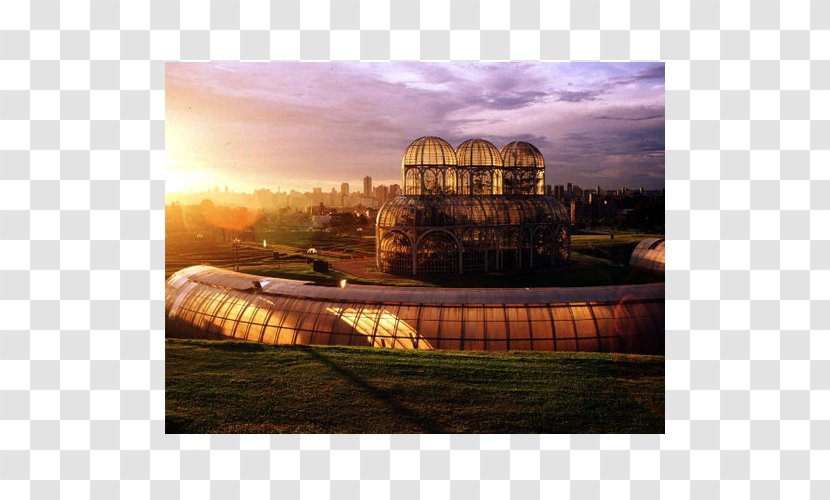Contractual Oscar Niemeyer Museum Capital City Ribeirão Preto - Brazil Transparent PNG